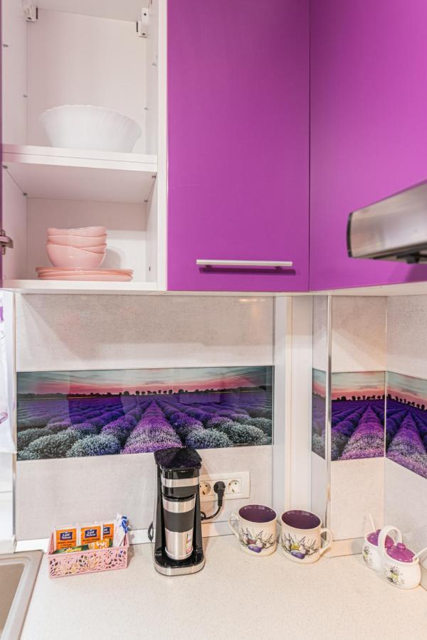 Apartamente Lavender Брашов Экстерьер фото